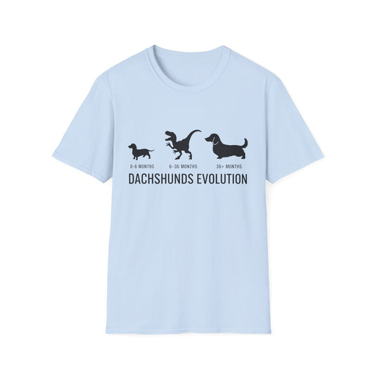 Chaos Evolution Tee
