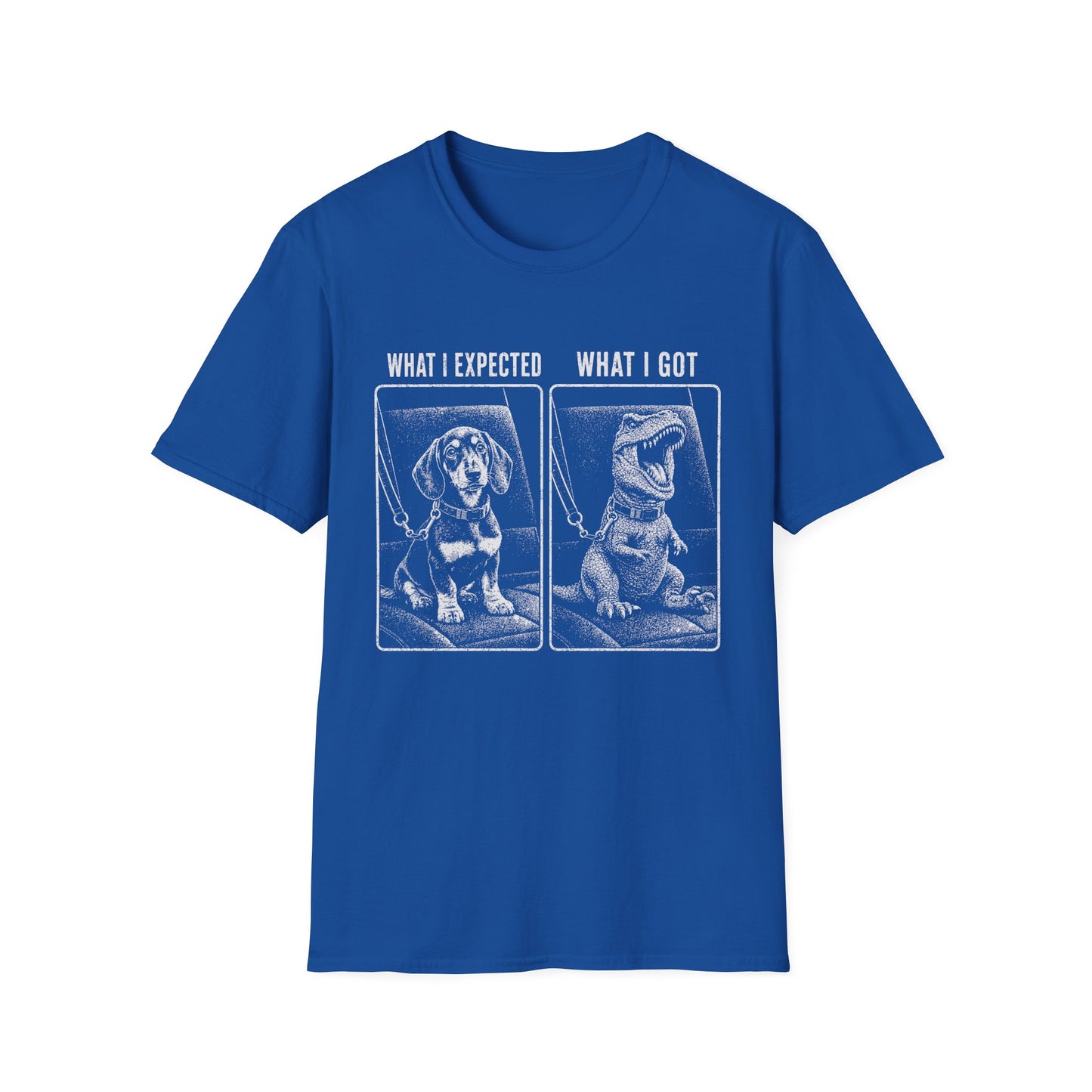 What I Expected, What I Got Tee