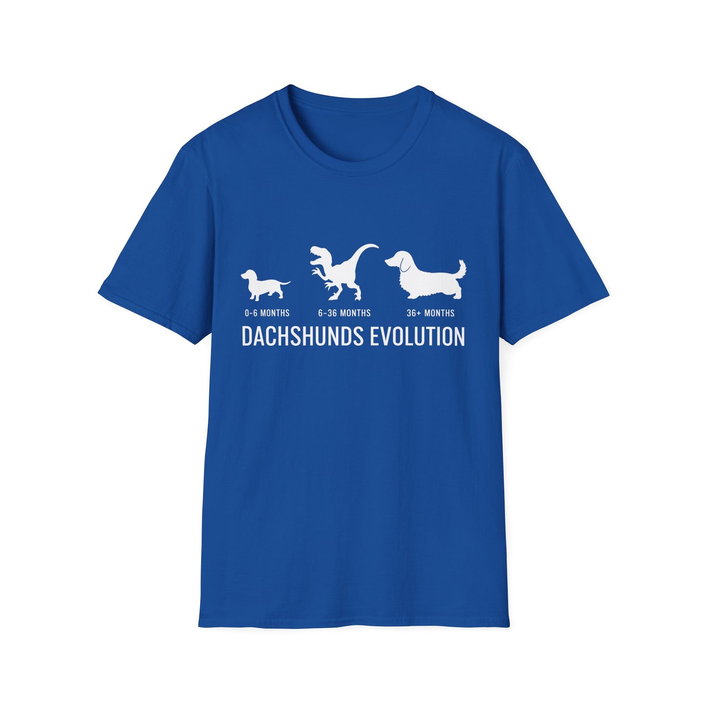 Chaos Evolution Tee